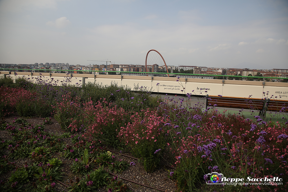 VBS_9792 - Parco Pensile Lingotto.jpg